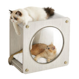 Collectie - Nr. 010 Kattengrot voor wandmontage | Kymiko