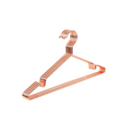 Metalen hanger, roestbestendig