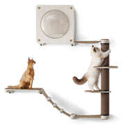 Oasis - kattenmeubel klimwand set van 5 | Kymiko