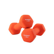 Hexagon dumbbells voor thuis met neopreen coating